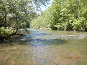 $BaldEagleSpring5-31 thru 6-3-2021028$ Still, a great stream to fish. Unfortunately this was Memorial day and more fishermen would be in competition for some of the favored fishing spots.